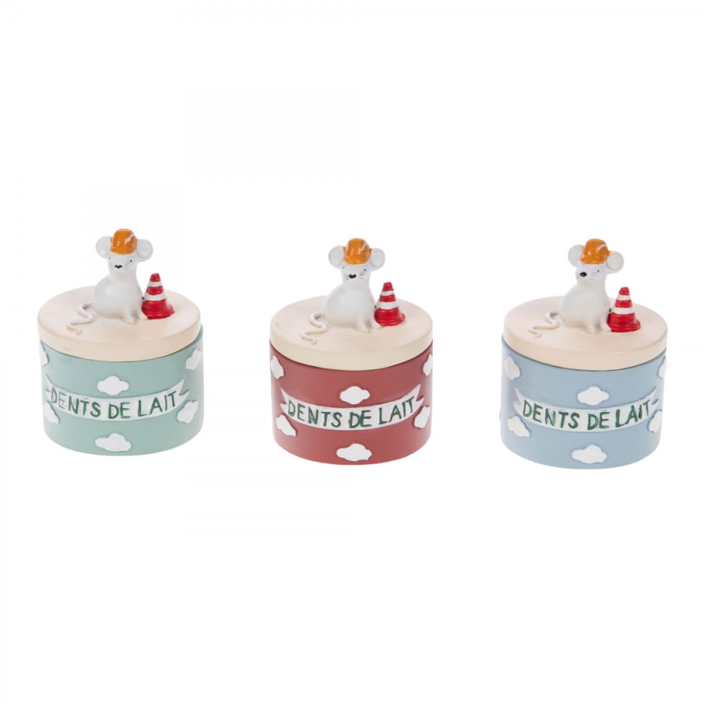 Boîte à Dents De Lait BESTonZON - Lot De 100 Boîtes Colorées Pour Collectionner Les Premières Dents De Bébé (garçon/fille)