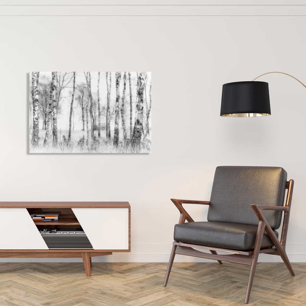 Tableau bouleaux en monochrome impression sur aluminium 120x80 cm | Maisons  du Monde