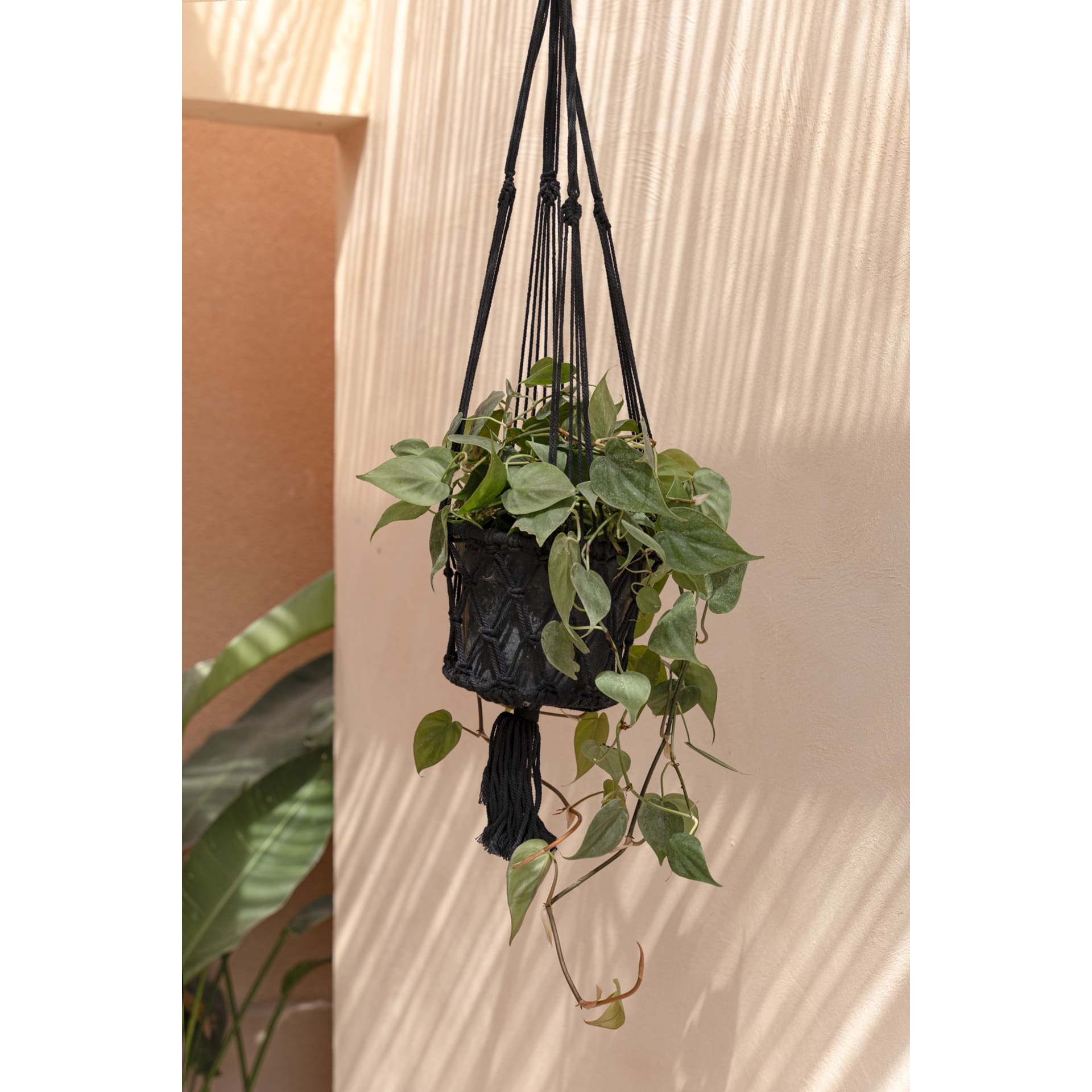 Pflanzenampel aus baumwolle, schwarz Macrame