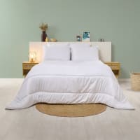 Couette Lestee 220x240null