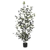 Albero Di Ficus Artificiale 1,5m Con Vaso - Pianta Finta Realistica Per Interni/esterni - Poliestere E PU - 2