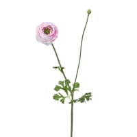 Ranuncolo Artificiale ELORIO Rosa-Fuchsia 50 Cm: Fiore Finto Su Stelo, Decorazione Senza Manutenzione - 3