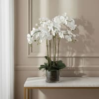 HinyoCo 5 Pz Fiori Orchidea Finta Ramo Artificiali Phalaenopsis Fiori Orchidea per Casa Decorazione (bianco