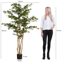 Pianta di ulivo artificiale altezza 150cm Oleand | Maisons du Monde