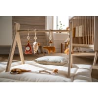 Set d'activités pour arche - Tiga, Stegi & Ops de Noukies