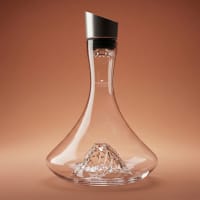 Carafe à Décanter Electrique, Aerateur Vin Bec Verseur Wafenso-Noir