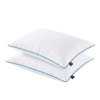 BedStory Cuscini Letto Set di 2 con Federa Rimovibile e Lavabile per Chi Dorme sul Lato o sulla Schiena, Guanciale in Coppia, Traspirante, Cuscino da letto 42x70cm