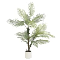 Branches De Saule Bouclées Blanches Séchées - Lot De 15 Tiges D'environ 55-58 Cm - Avec 3 Petites Gourdes - 6