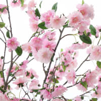 Plante Artificielle Avec Pot Rempli De Ciment, Citronnier Artificiel Avec Plante Verte Tronc Realiste Mousse Simulee Fausse Arbre 120 Cm 92593362