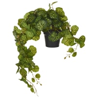 1 Pezzo Pianta Artificiale Rampicante Con Fioriera, Edera Appesa Con Foglie Verdi, Decorazione Da Giardino, Ve Finta, Accessori Per La Casa (con Vaso) | SHEIN ALIA
