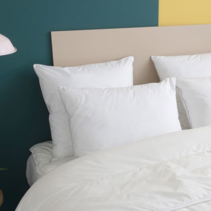 Wake Me Green - Oreiller 60x60 Moelleux Gonflant Durable   Coton Bio   Felix