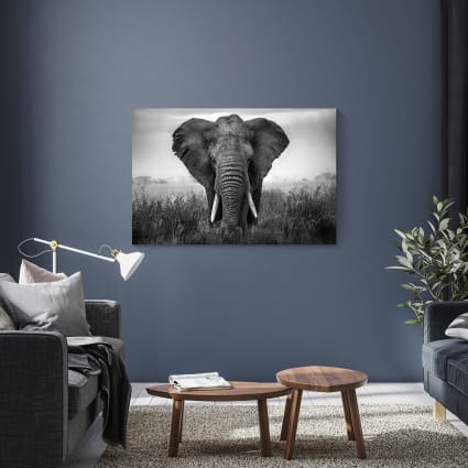 FeinKnick Tableau Noir à Suspendre En Tant Qu'éléphant - Avec 3 Pièces De Craie - Tableau Noir Enfants 40x30 Cm Comme Tableau Noir - Ardoise Comme Tableau Noir Pour Enfants Ou Tableau