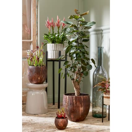 LE TAUCI 25 Cm Vaso Per Piante, Vaso In Ceramica Per Piante Da Interno, Vasi Per Piante Per Casa, Giardino, Patio Ufficio, Vaso Per Fiori Da Esterno Con Fori Di Drenaggio, Grigio - Foto 2