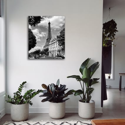 Impression sur Toile 100x40cm Tableaux Image Photo Déco Fleurs Élégance