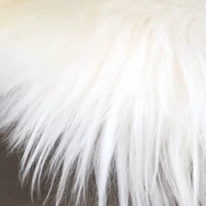 Coussin de selle en peau de mouton - France