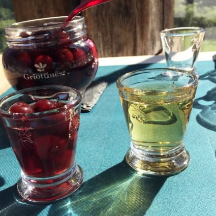 Verres a shooters – Table de cuisine