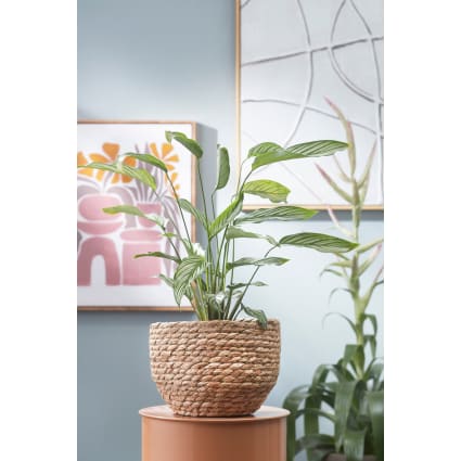 Cesto Portapiante In Erba Marina Intrecciata | Vaso In Vimini Bohémien Con Rivestimento Interno | Decorazione Rustica Per Fiori E Oggetti 25x25x20 Cm - 4