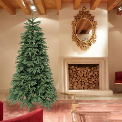 Sapin Haut Et Fin