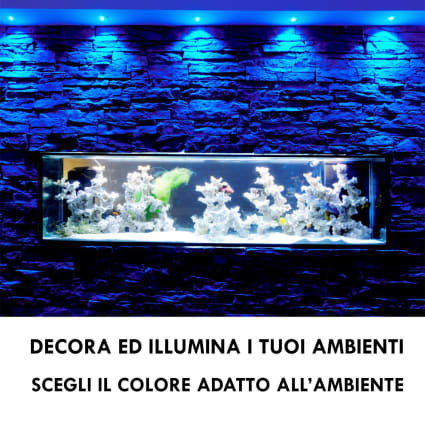 Faretto da incasso a LED, 24 Volt, 10 Watt, ad esempio Loxone, DMX, Comexio, KNX, dimmerabile, luce bianca fredda (6000K