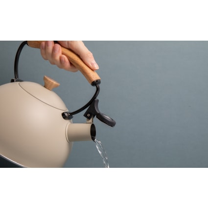 Bouilloire à Filtre, Grande Capacité en Acier Inoxydable pour Cuisinière à Induction pour Électrique