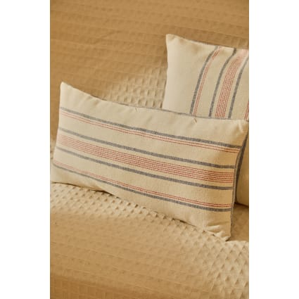 nasssauger für polsterreinigung UWANT B100-S Waschsauger, Polsterreiniger, Polsterreiniger Sofa, Vorleger, Polster, Auto Nass-Trockensauger, Weiß Style:Dark Blue