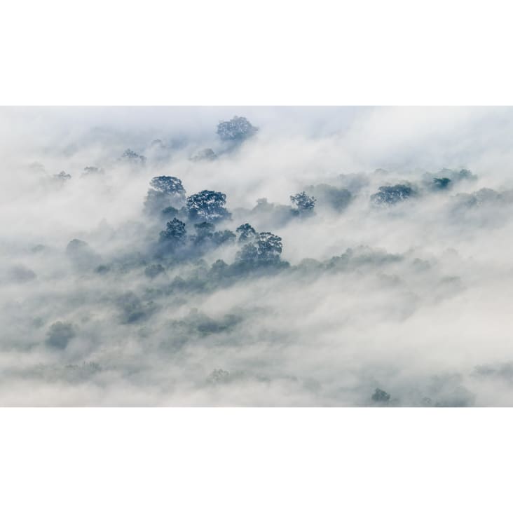 Papier peint panoramique brumes matinales 01 255 x 250 cm cropped-2