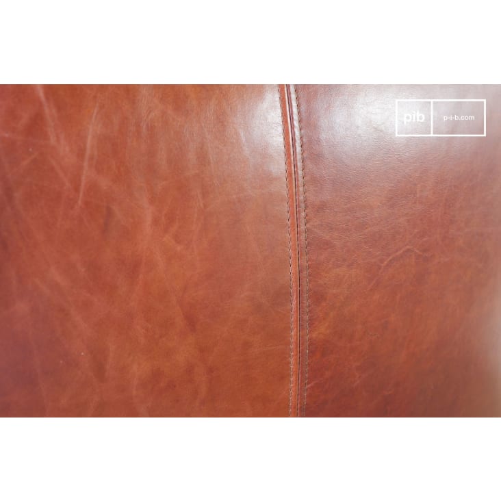 Fauteuil en cuir rouge-Krieger cropped-5