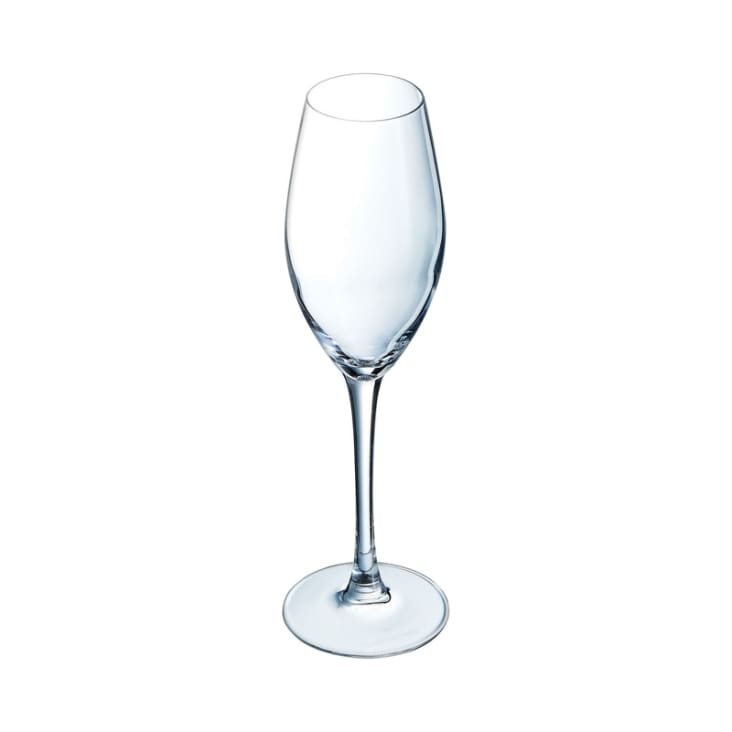MADE - Coffret de 6 coupes à champagne en verre 24cl - transparent
