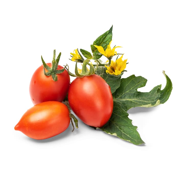 Lingot® Mini Tomate Rouge compatible potager Véritable® et Exky
