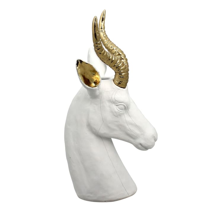 Gazelle ocre store