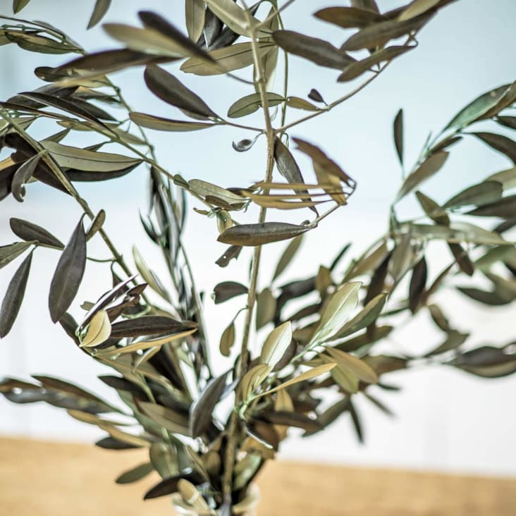Botte de fleurs séchées olivier de Provence stabilisé-OLIVIER cropped-2