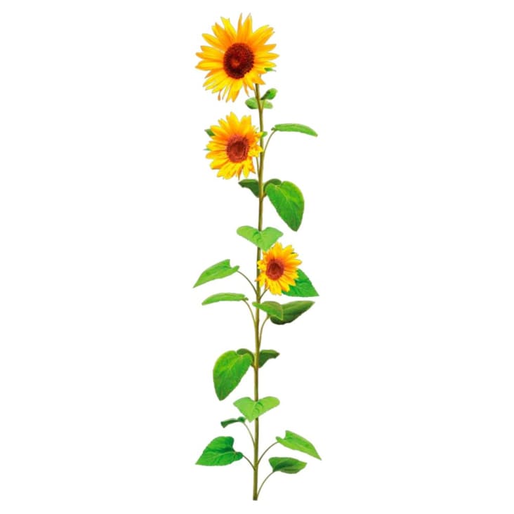 Autocollants Muraux Tournesol - Déco Amovible Aquarelle Pour Salon Et Chambre - 2x 24x70cm