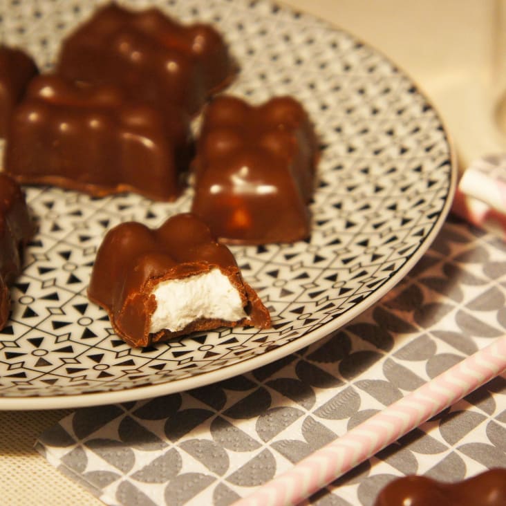 Moules oursons guimauve-chocolat OURSONS