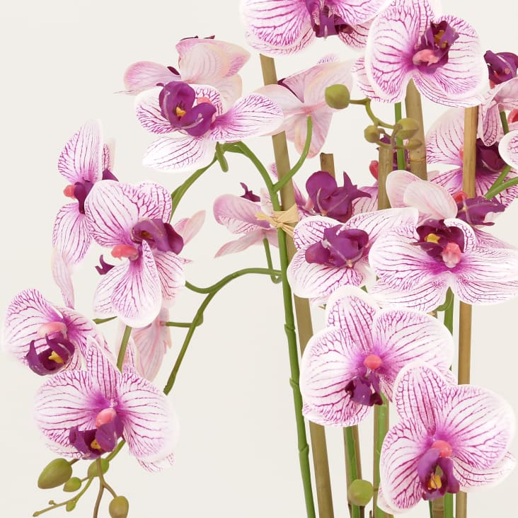 Orchidées artificielles blanches fuchsias 55cm cropped-3