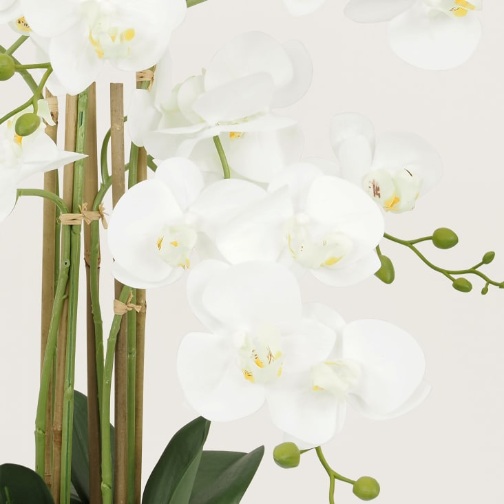 Orchidee artificielle en coupe ceramique - Fausses plantes réalistes - Site