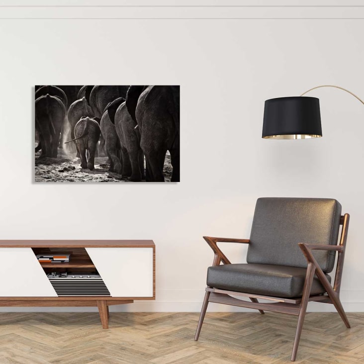Tableau animaux cap afrique imprimé sur alu 90x60cm cropped-2