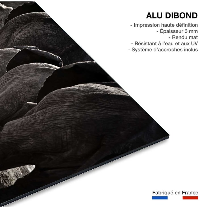 Tableau animaux cap afrique imprimé sur alu 90x60cm cropped-4