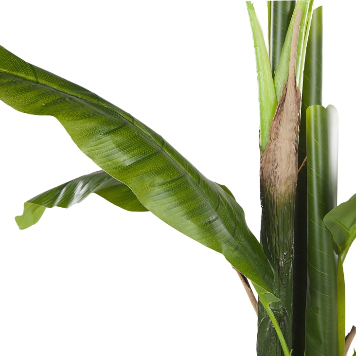 Pianta artificiale in vaso 154 cm Banana tree