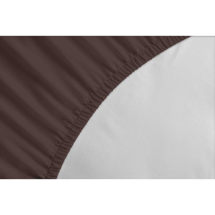 Drap housse uni 100% coton - Bonnet 30cm - Chocolat - 90x200 cm cropped-3