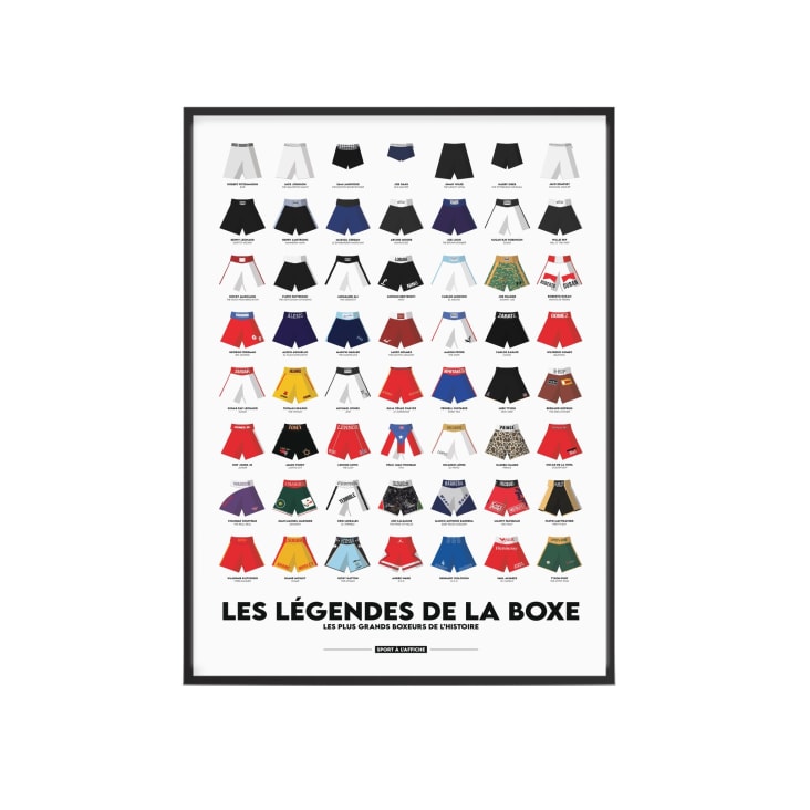 Affiche Boxe - Les Légendes de la Boxe - 40 x 60 cm-SPORTS DE COMBAT
