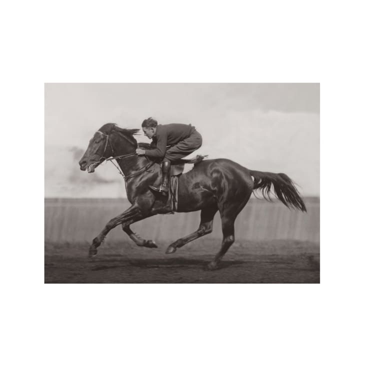 Photo ancienne noir et blanc cheval n°40 cadre noir 70x105cm-EQUITATION