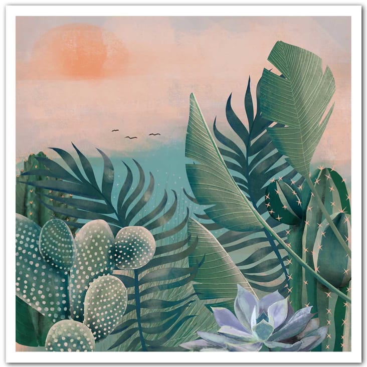 Affiche illustration jardin succulentes et cie sans cadre 50x50cm