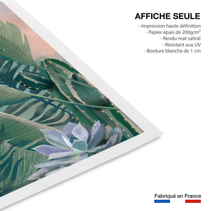Affiche illustration jardin succulentes et cie sans cadre 50x50cm cropped-4