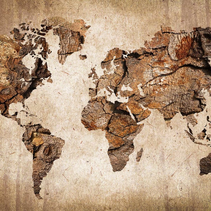 Tableau carte du monde effet bois toile imprimée 120x80cm