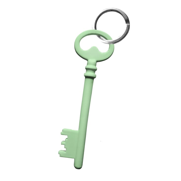 Porte clefs en acier vert chèvrefeuille-OLDKY