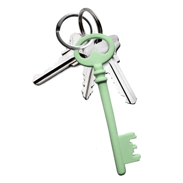 Porte clefs en acier vert chèvrefeuille-OLDKY cropped-2