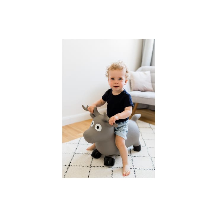 Porteur gonflable online