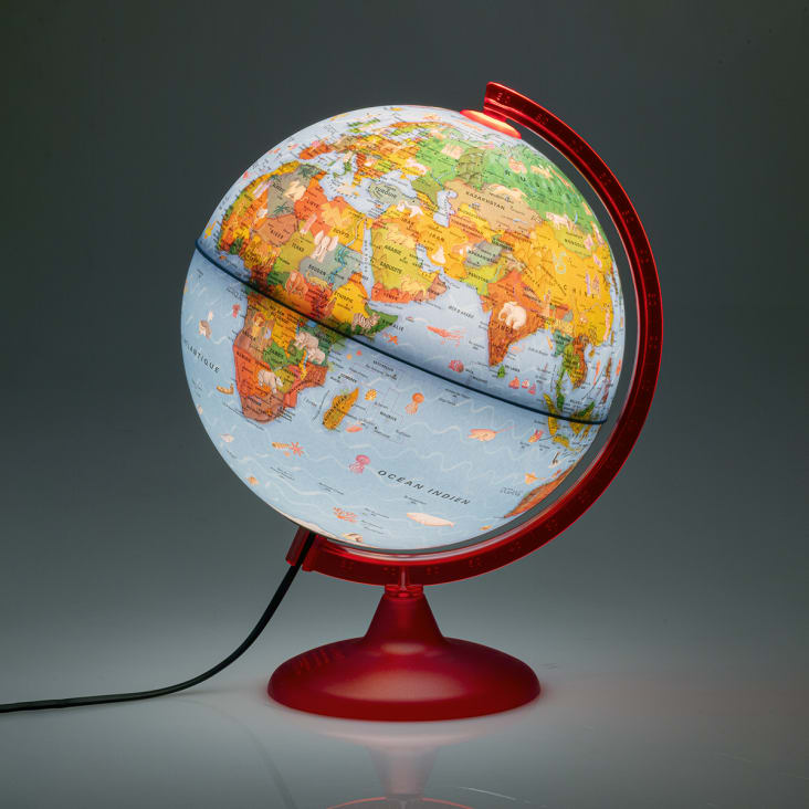 Globe terrestre illustré 25 cm lumineux   textes en français-ZOO cropped-5