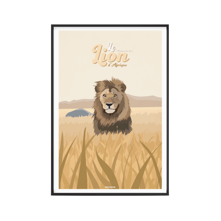 Affiche Animaux - Le Lion d'Afrique 40 x 60 cm-ANIMAUX
