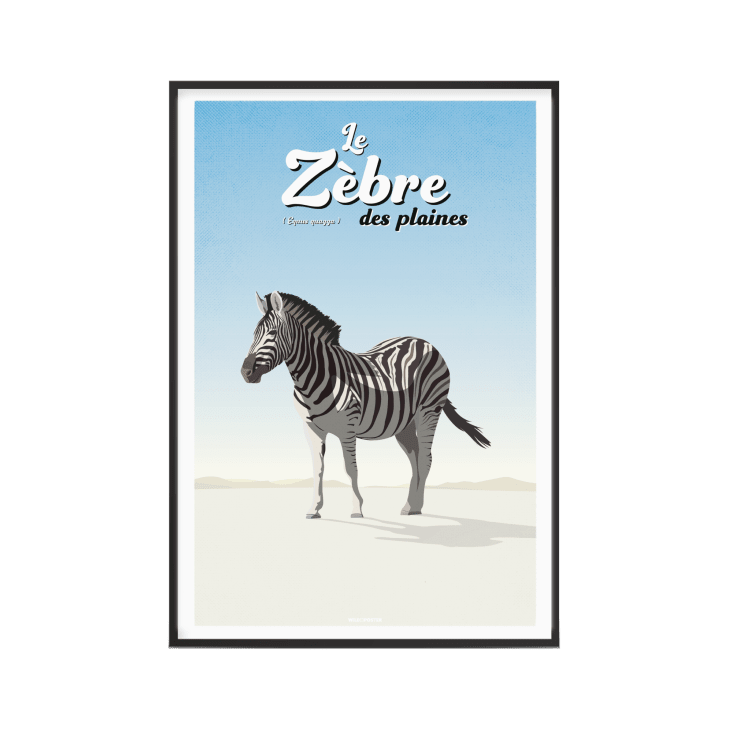 Affiche Animaux - Le Zèbre des plaines 40 x 60 cm-ANIMAUX